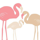 Animal - Flamingo Stretched Wall Art