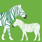 Animal - Zebra Stretched Wall Art