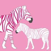 Animal - Zebra Stretched Wall Art