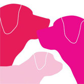 Animal - Dog Family Stretched Wall Art