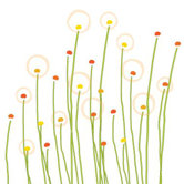 Imagination - Dandelion Stretched Wall Art