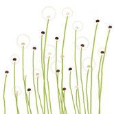 Imagination - Dandelion Stretched Wall Art