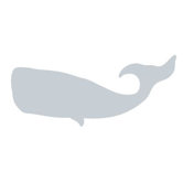 Silhouette - Whale Stretched Wall Art