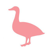 Silhouette - Duck Stretched Wall Art