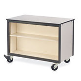 2300 Series Mobile Cabinet with Adjustable Shelf