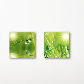 Deco Glass A New Day Wall Decor (Set of 2)