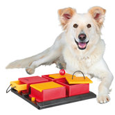 Poker Box Dog Activity Game