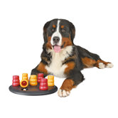 Solitaire Dog Activity Game