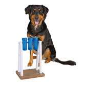 Mad Scientist Dog Activity Game