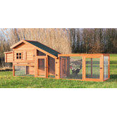 Chicken Coop with View
