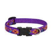 Spring Fling 1/2" Adjustable Dog Collar