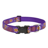 Sunny Days 1" Adjustable Dog Collar