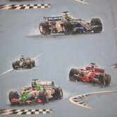 Racing Cars Lined Single Curtain