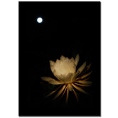 Full Moon Bloom by Kurt Shaffer, Canvas Art - 24" x 16"
