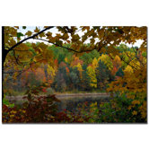 Full Color Fall by Kurt Shaffer, Canvas Art - 16" x 24"