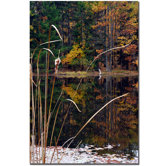 Serene Sylvan Pond by Kurt Shaffer, Canvas Art - 24" x 16"