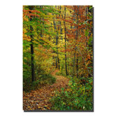 Fall Pathway by Kurt Shaffer, Canvas Art - 47" x 30"
