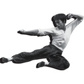 Bruce Lee Fly Chunky Magnet