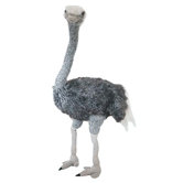 41" Standing Emu
