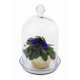 Bell Jar Round Terrarium II