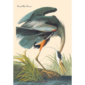 Great Blue Heron Canvas Art