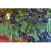 Irises Canvas Art