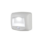 Step Light