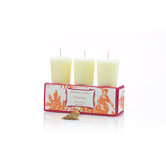Classic Toile Clementine Votive Candle Set