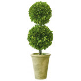 Box Double Ball Topiary