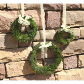 Cypress Round Wreath (Set of 3)