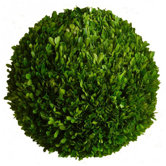 Boxwood Ball