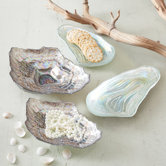 Watercolors Sea Glass Lustrous Shell Plate (Set of 4)