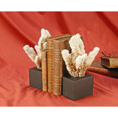 Coral Bookends