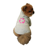Dog Clothing