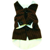 Blazonry Striped Dog Shirt in Grey