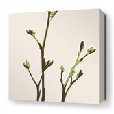 Axis Stretched Wall Art in Grass