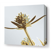 Propeller Stretched Wall Art in Aqua