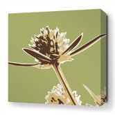 Propeller Stretched Wall Art in Grass