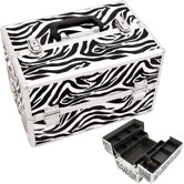 Professional Cosmetic Train Case