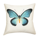 Butterfly Outdoor Pillow