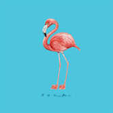 Flamingo Coaster (Set of 4)