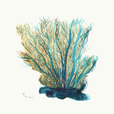 Blue Coral Coaster (Set of 4)