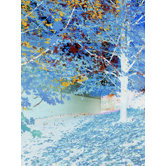 Falling Wall Art