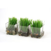 Silk Kelly Grass in Glass Vase (Set of 3)