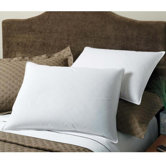Cotton Pillow (Set of 2)