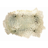 Light In Art by Shimal'e Peleg Wall Lighting