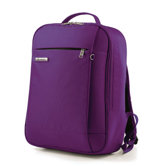 Titanium Soft Laptop Backpack