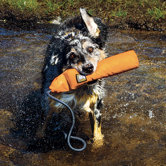 Lunker Retrieval Dog Toy