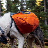 Approach Pack Dog Pack