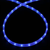 Mini Rope Light in Blue